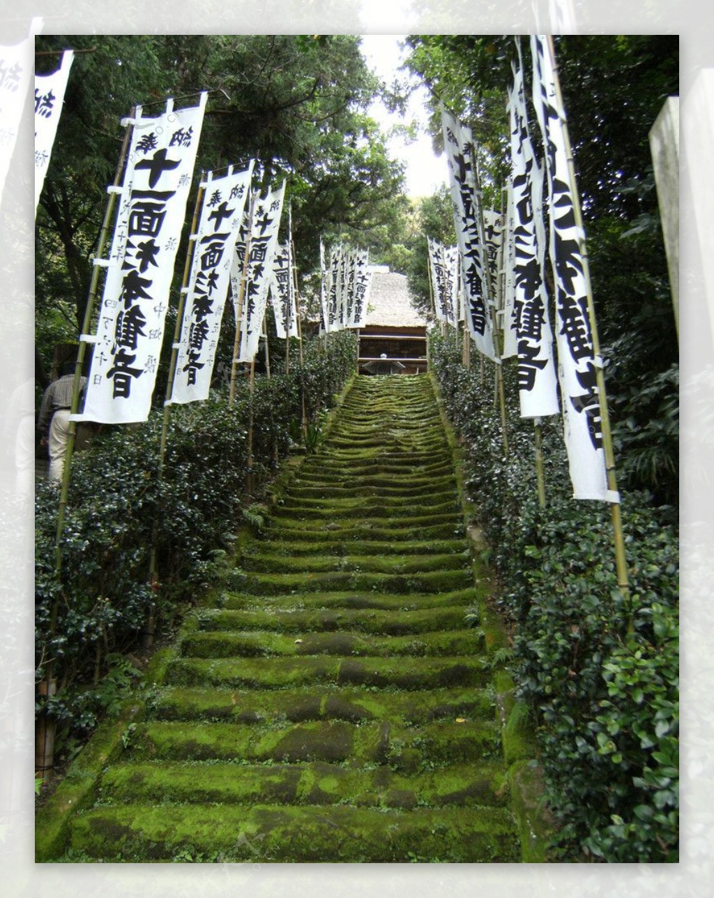 鎌倉圓覺寺图片