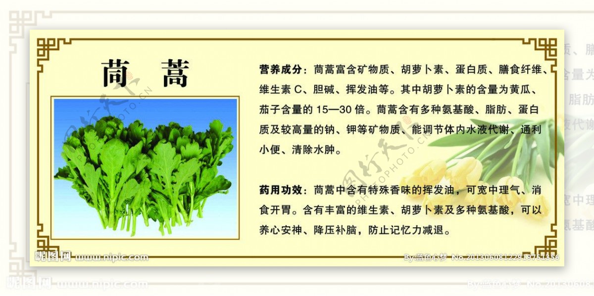 茼蒿简介图片