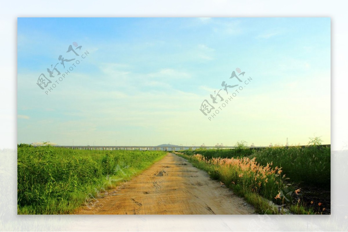 青草小路图片