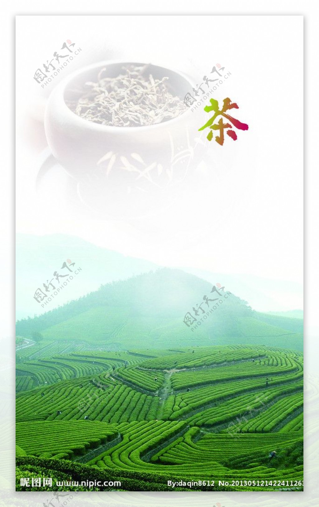 茶茶山绿茶图片