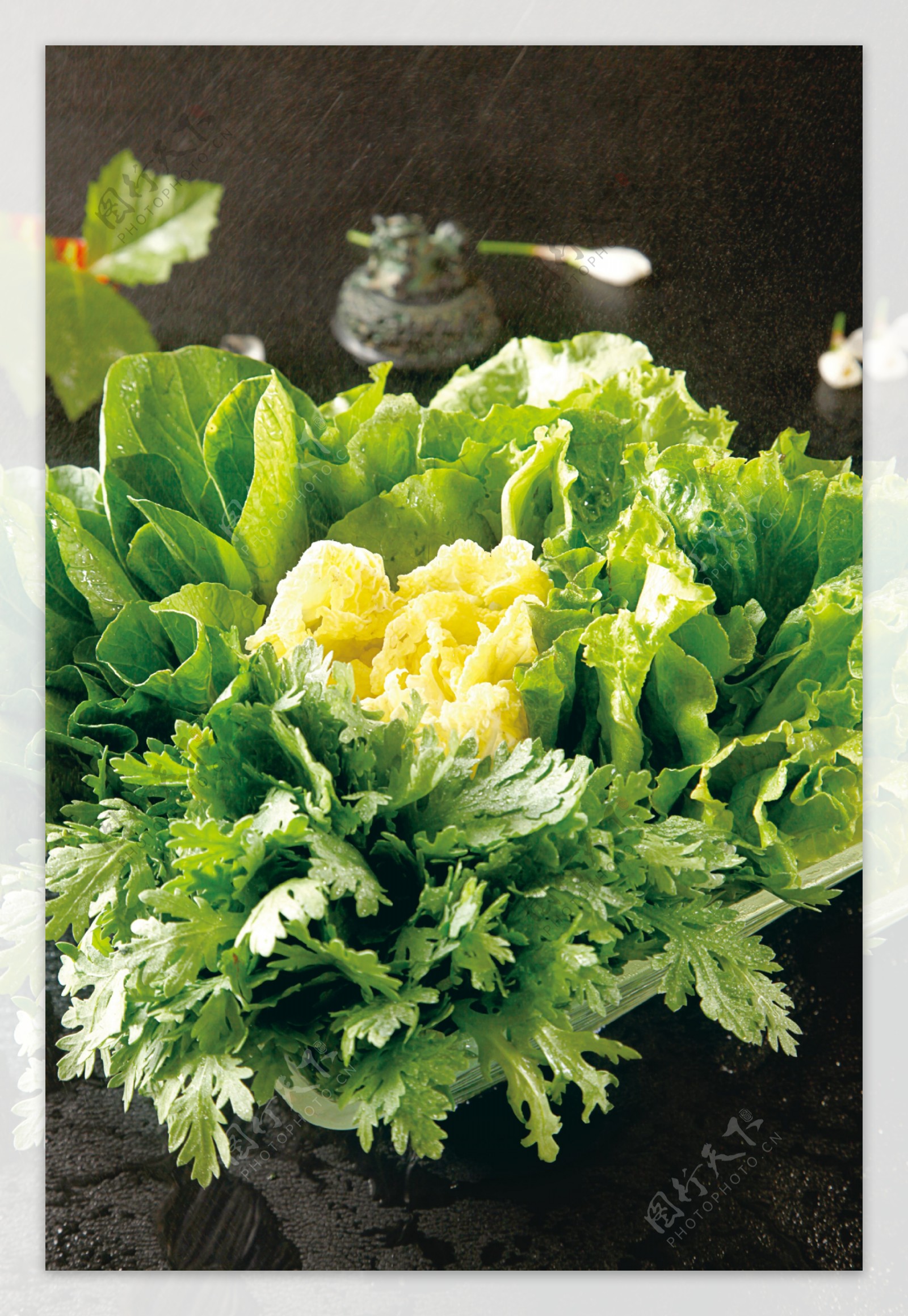 蔬菜拼盘图片素材-编号09503402-图行天下