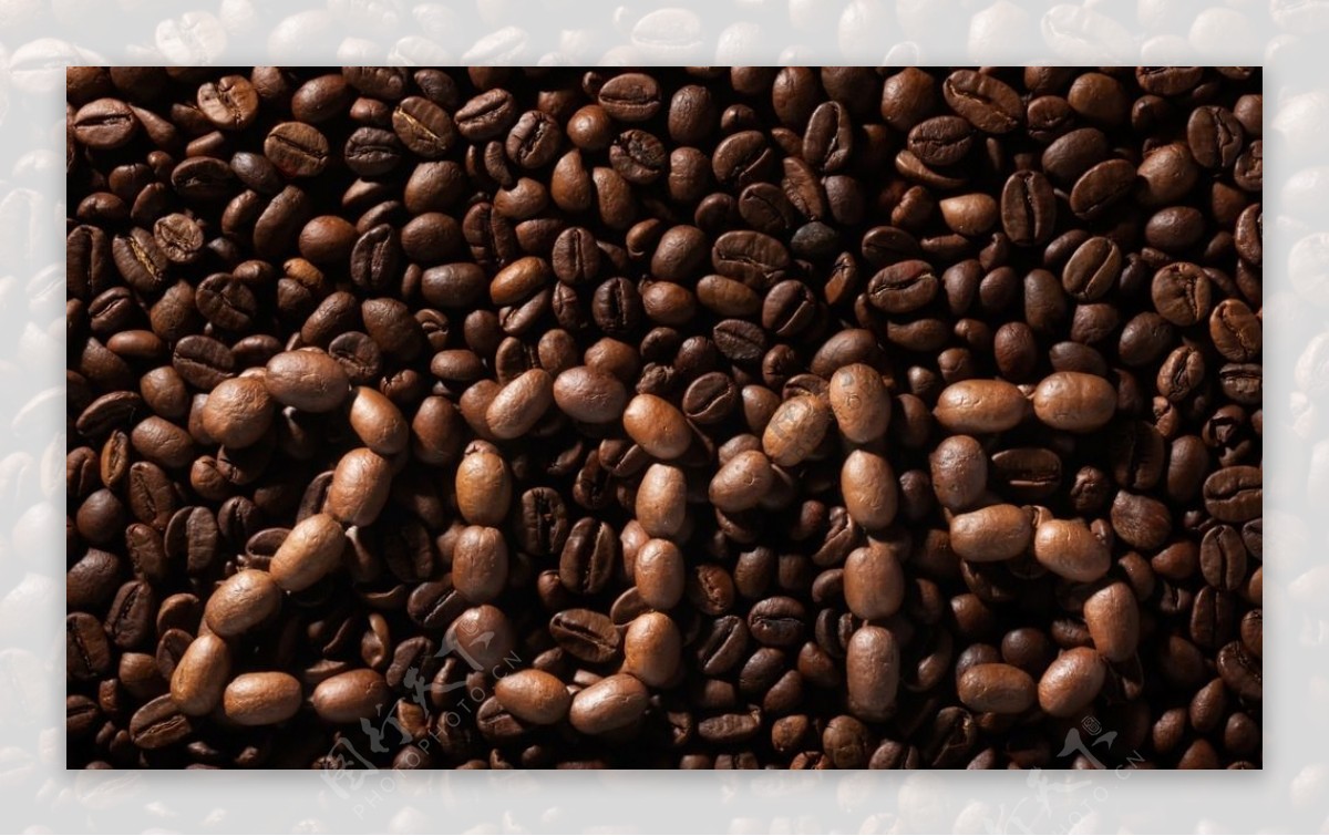 2015咖啡豆图片