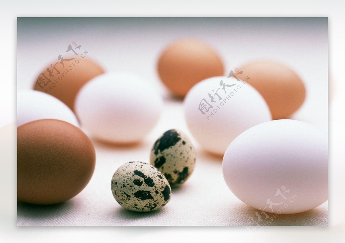 鸡蛋鹌鹑蛋图片