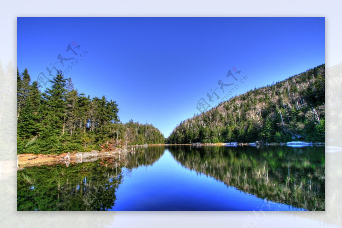 湖水树林图片