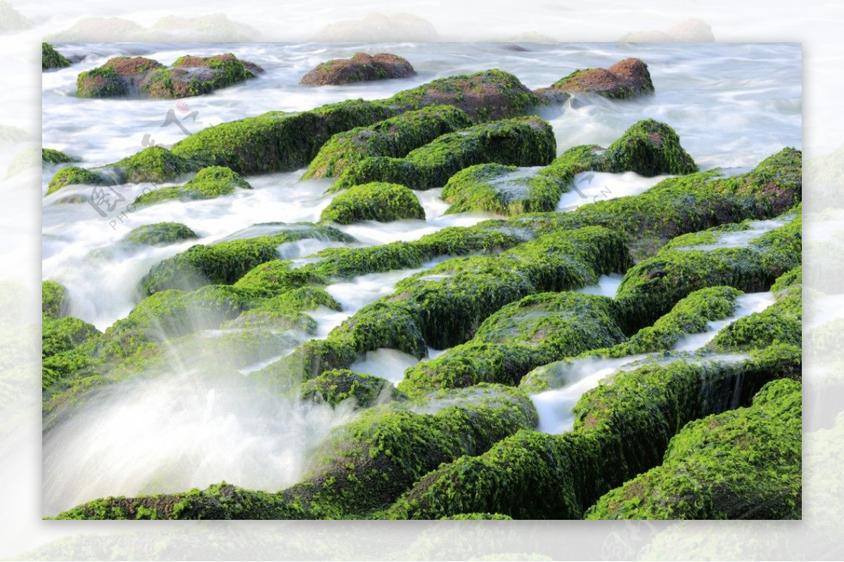 海浪石頭海边图片
