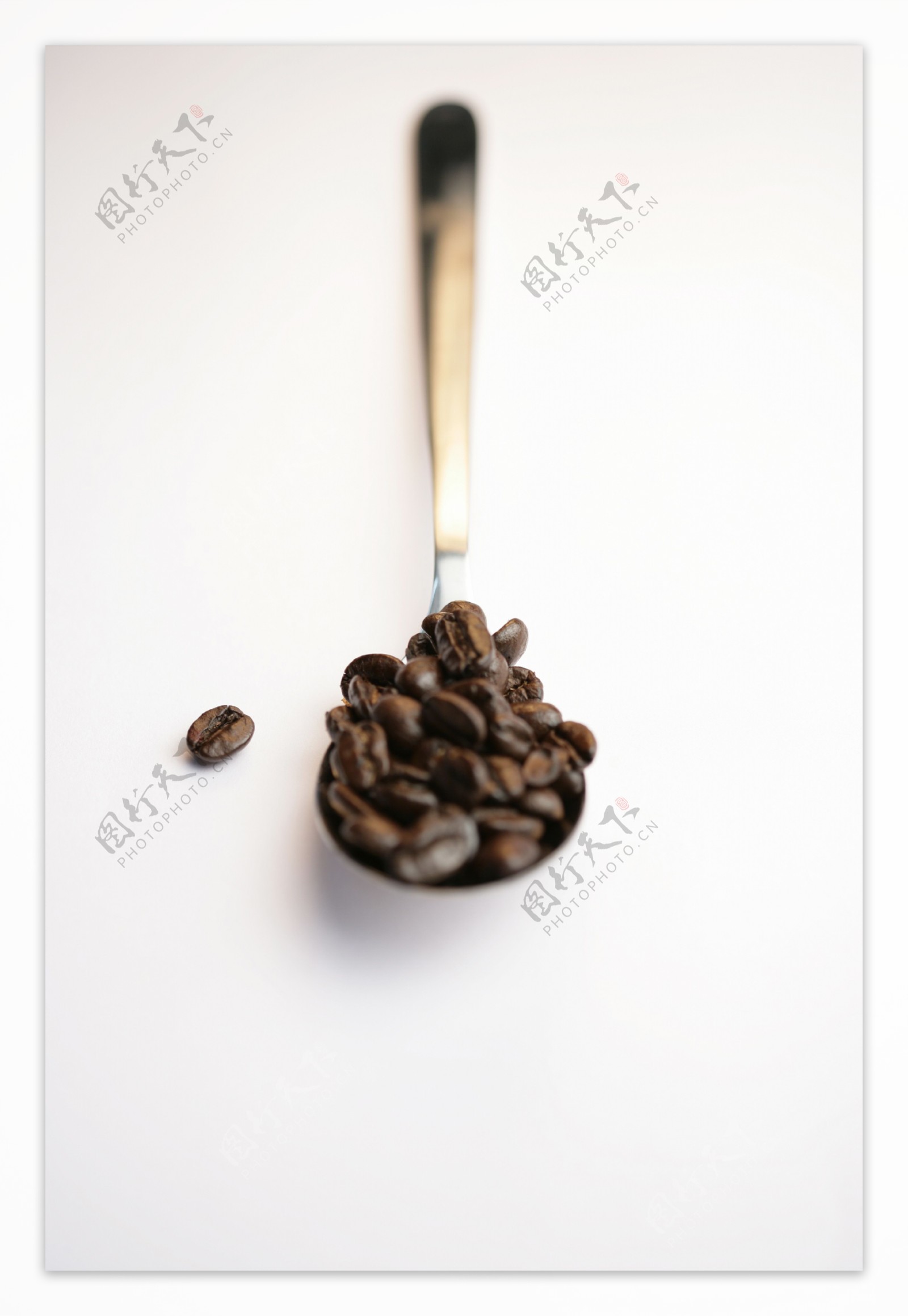 一勺咖啡豆图片