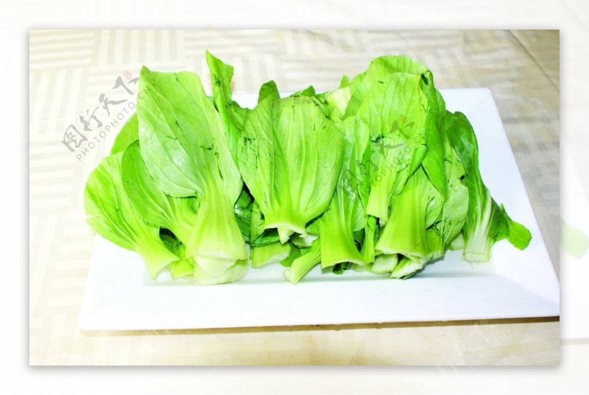 蔬菜上海青图片