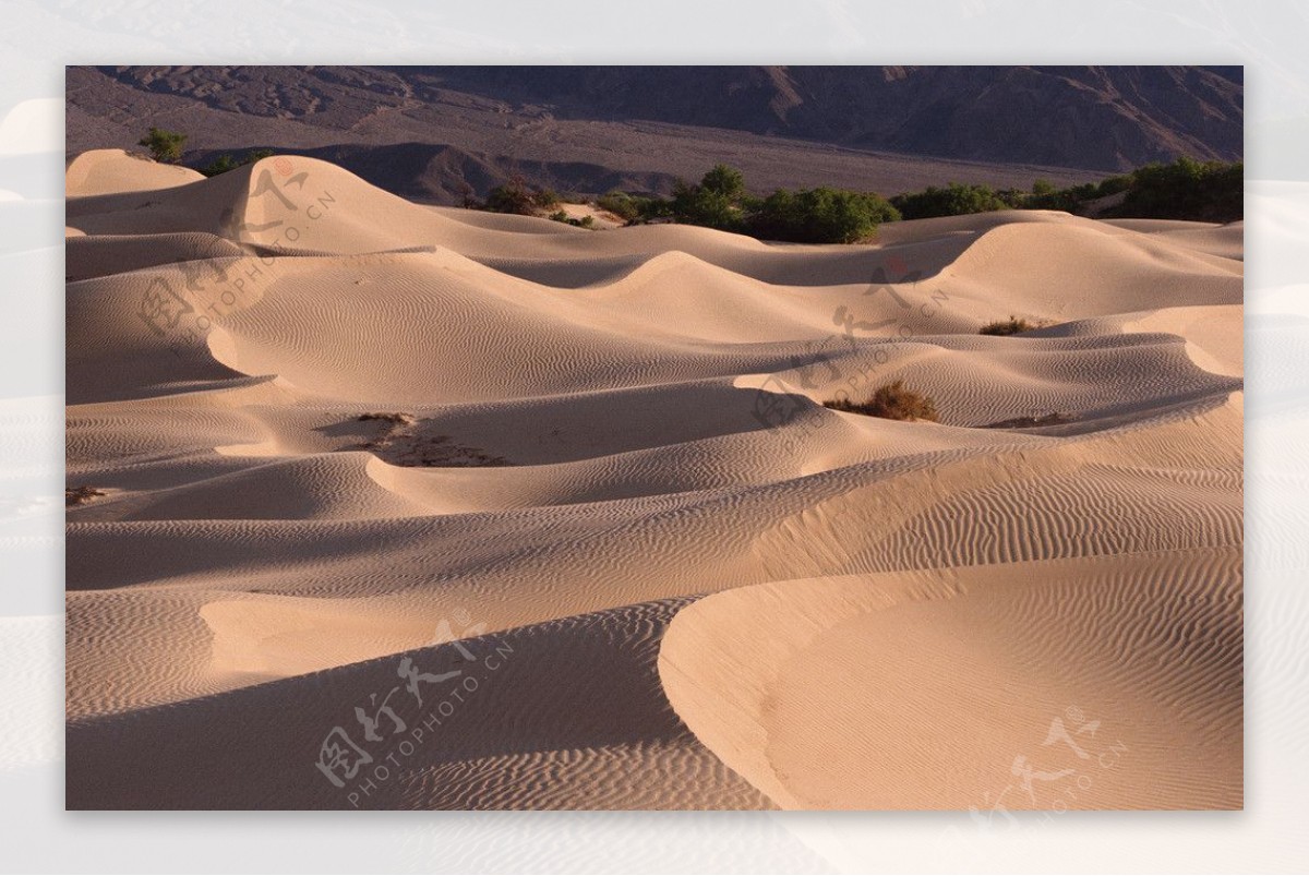 沙漠远景图片