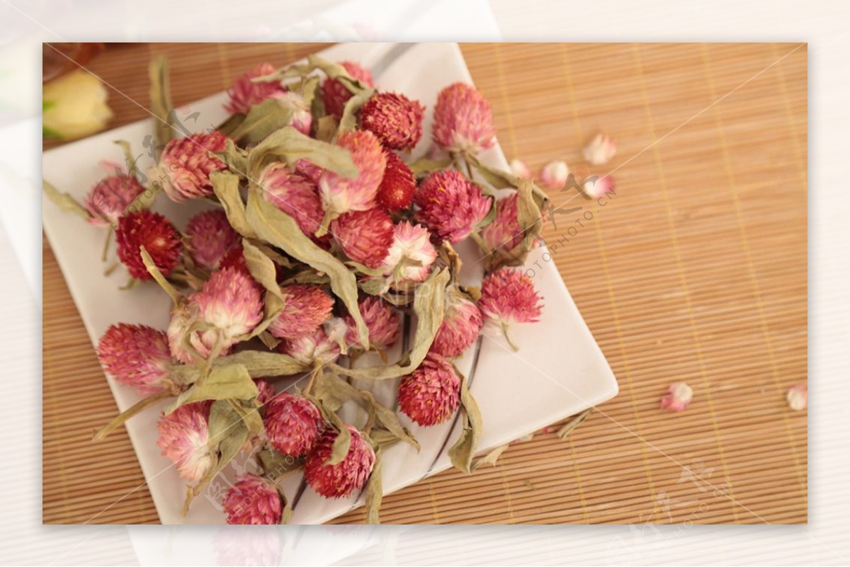 红巧梅花茶摄影图图片