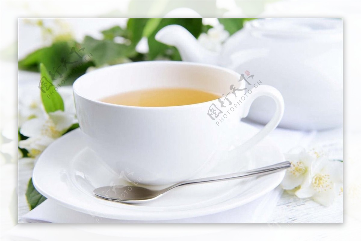 茶道tea茶杯图片