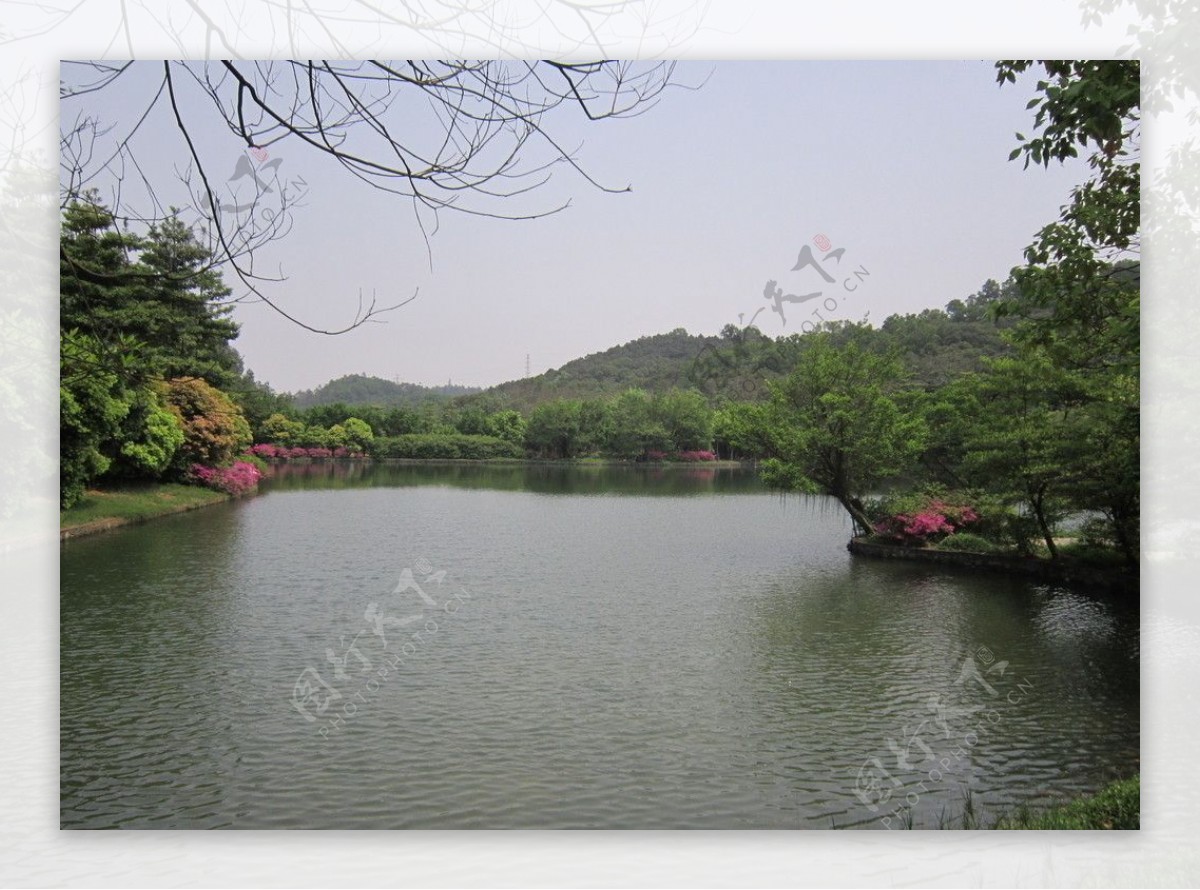 大夫山山水风景图片