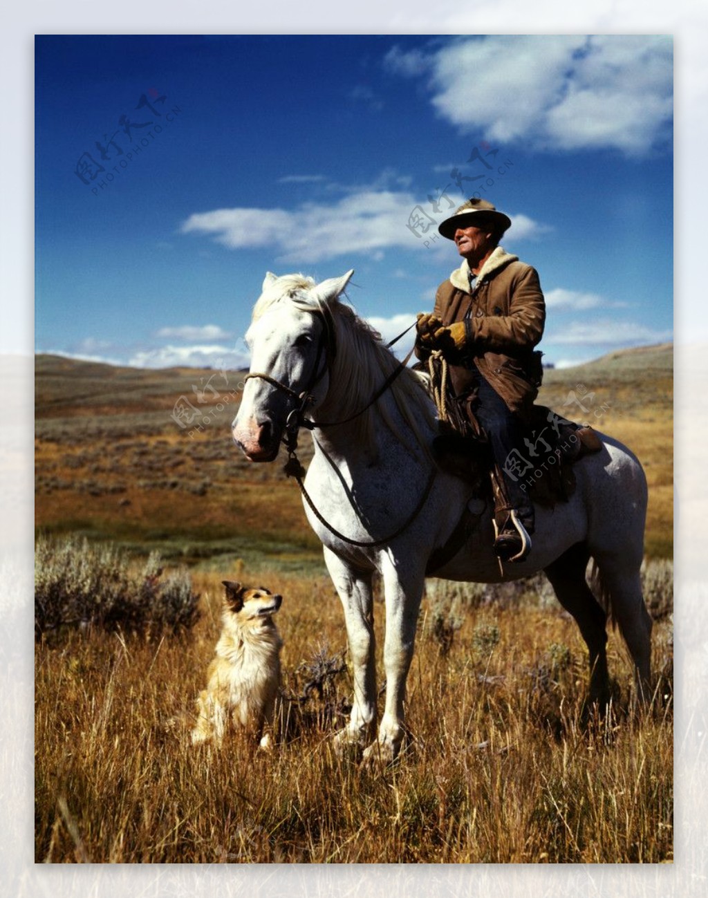 猎人骑着马和猎狗在草原上图片