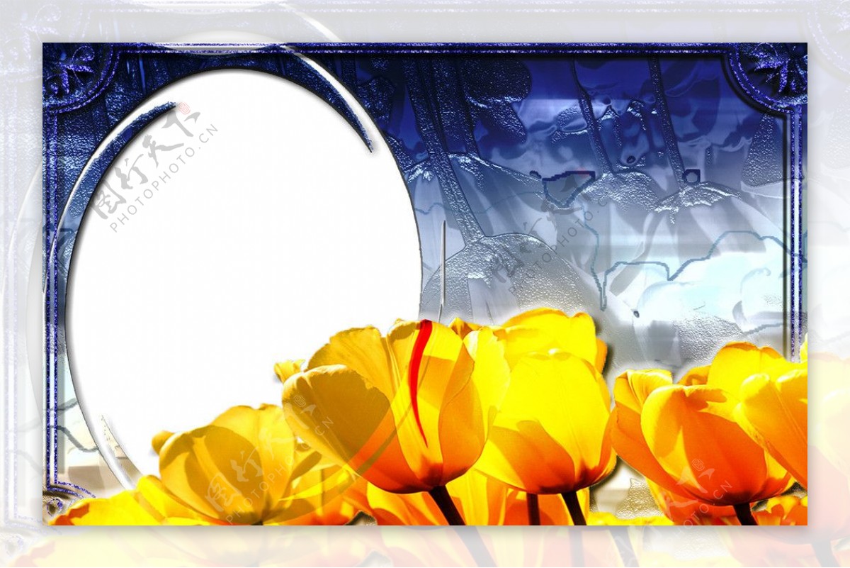 黄色郁金香相框图片