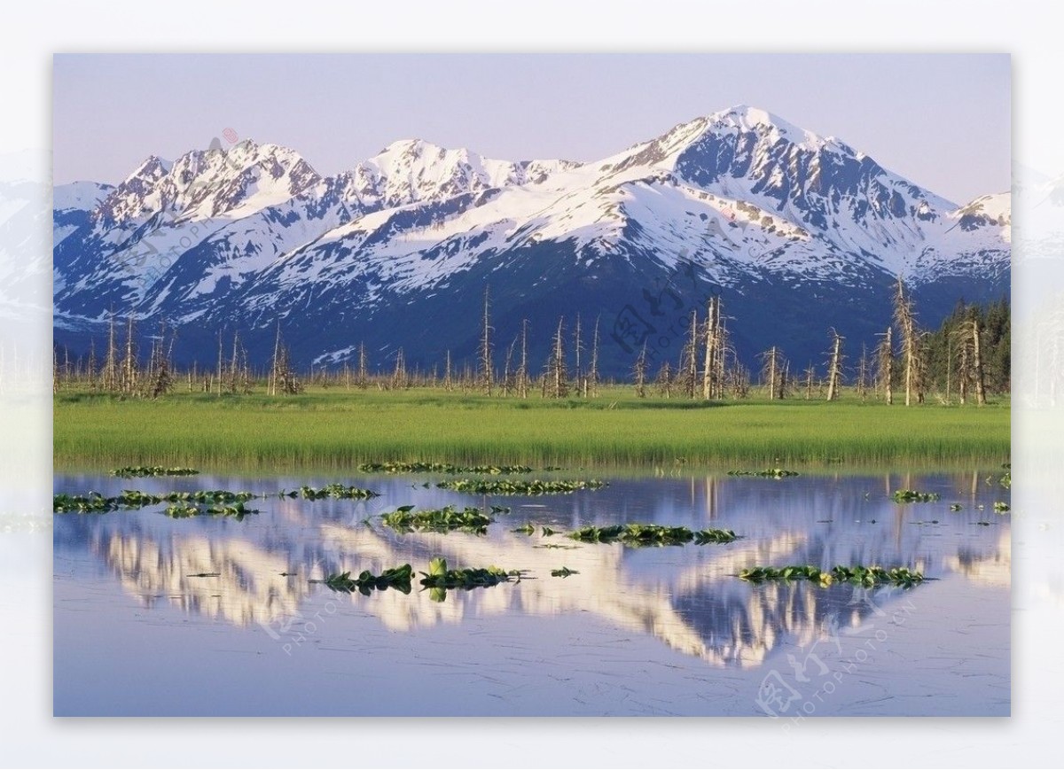 雪山湖畔图片