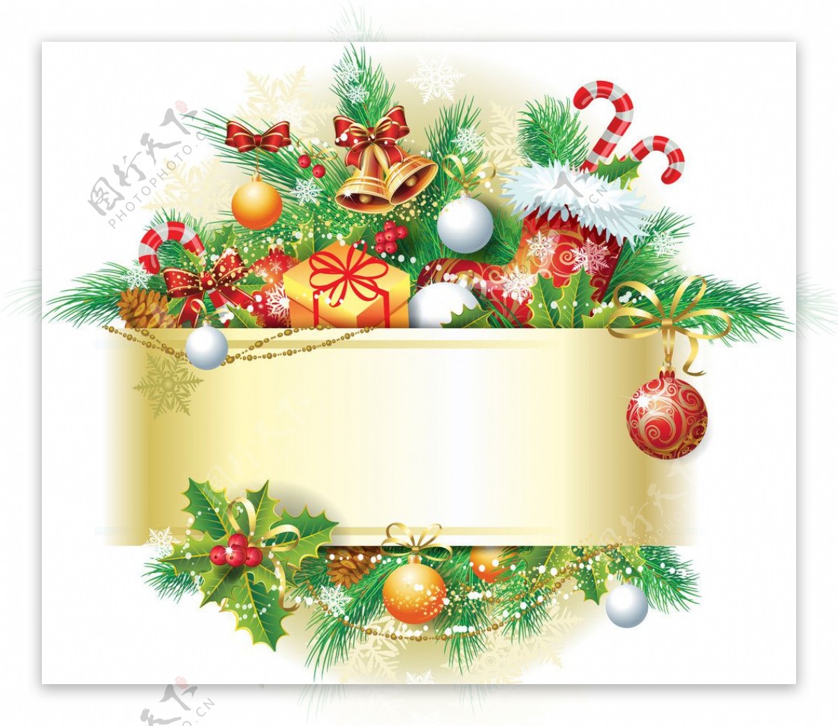 松枝圣诞背景标签图片