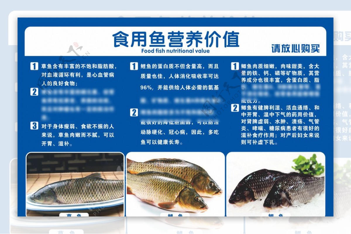 食用鱼营养价值图片