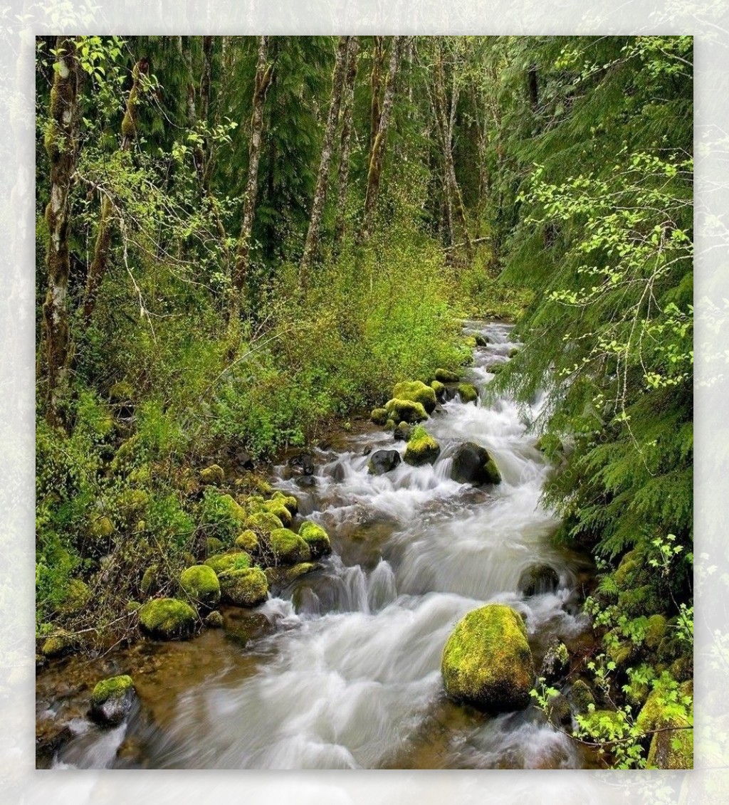 小溪流水山林图片