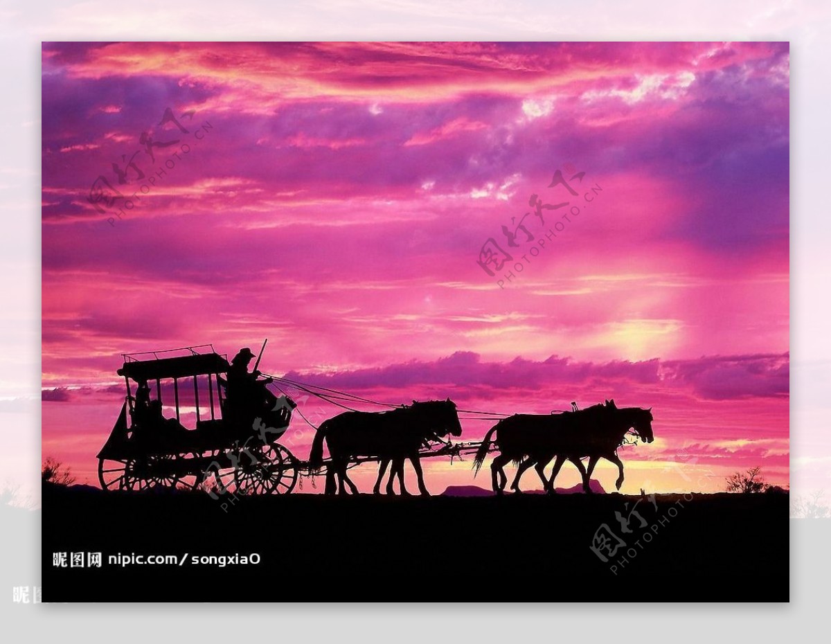 紫色天空里的梦幻马车图片