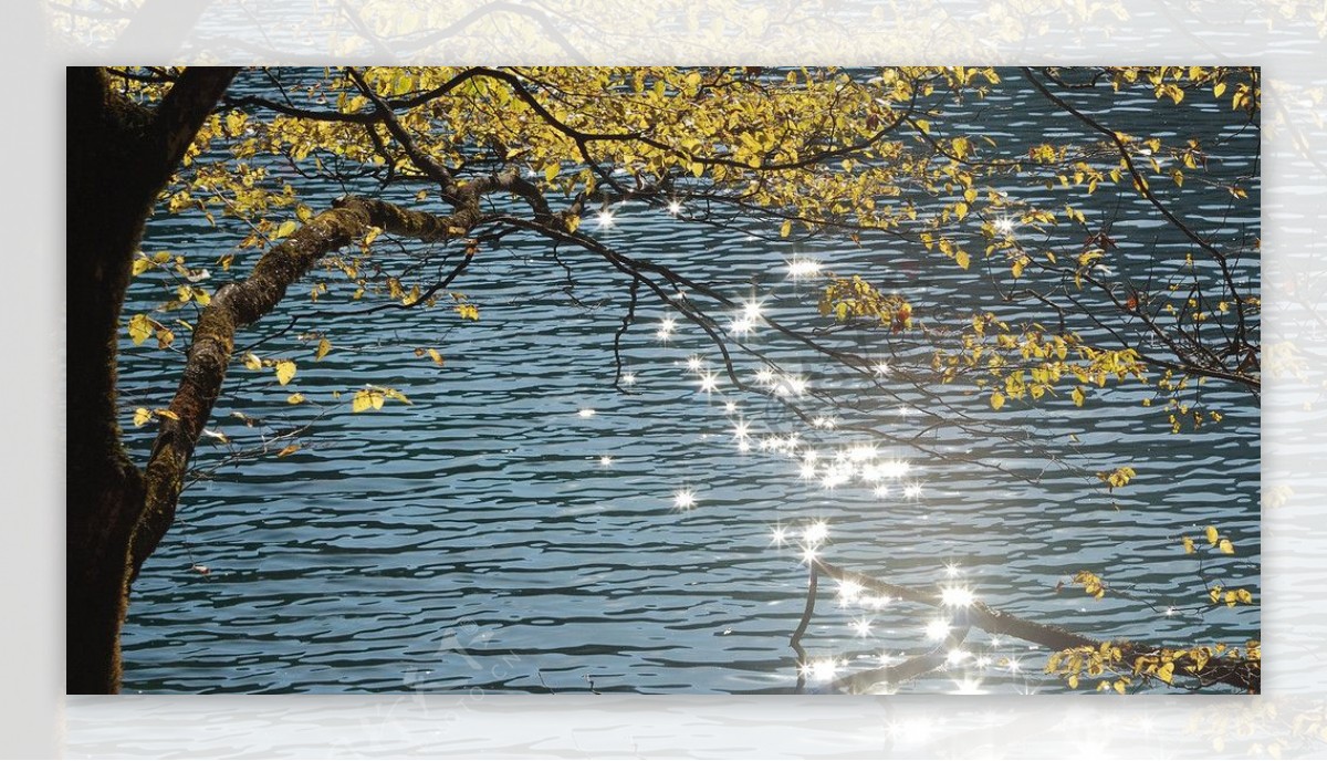 树湖光与影图片