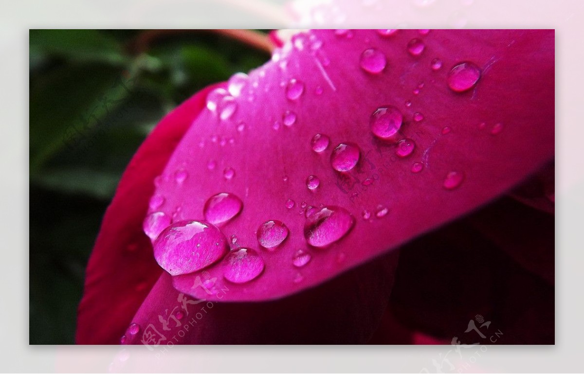 雨滴图片