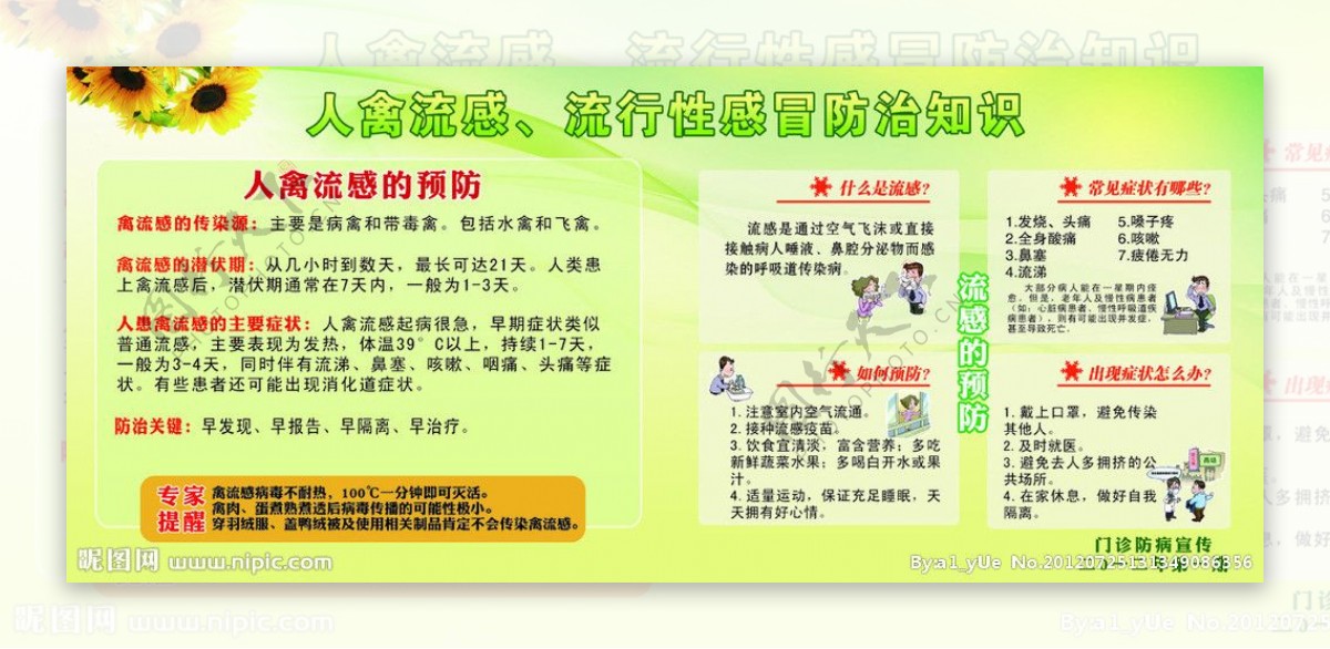 禽流感防治知识展板图片