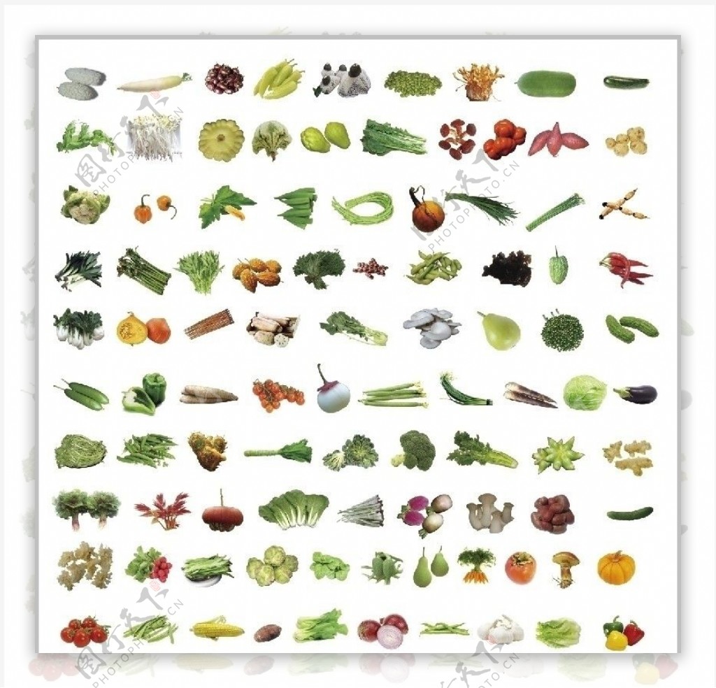 蔬菜大全图片_生物静物_设计元素-图行天下素材网