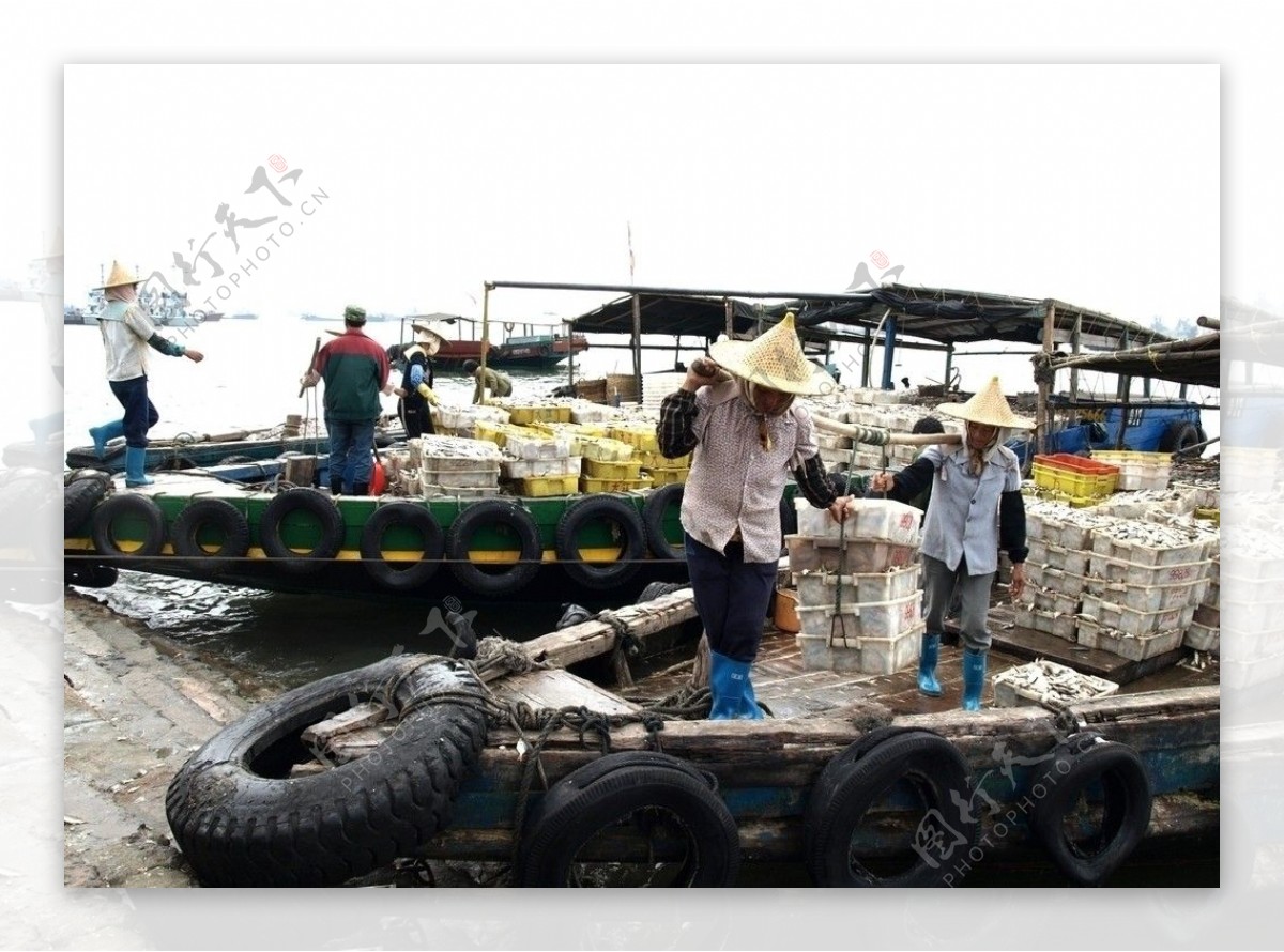 海南白马井码头图片