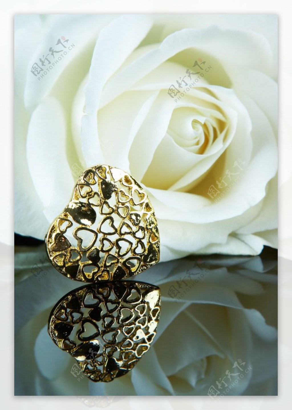 白玫瑰和爱心戒指盒图片