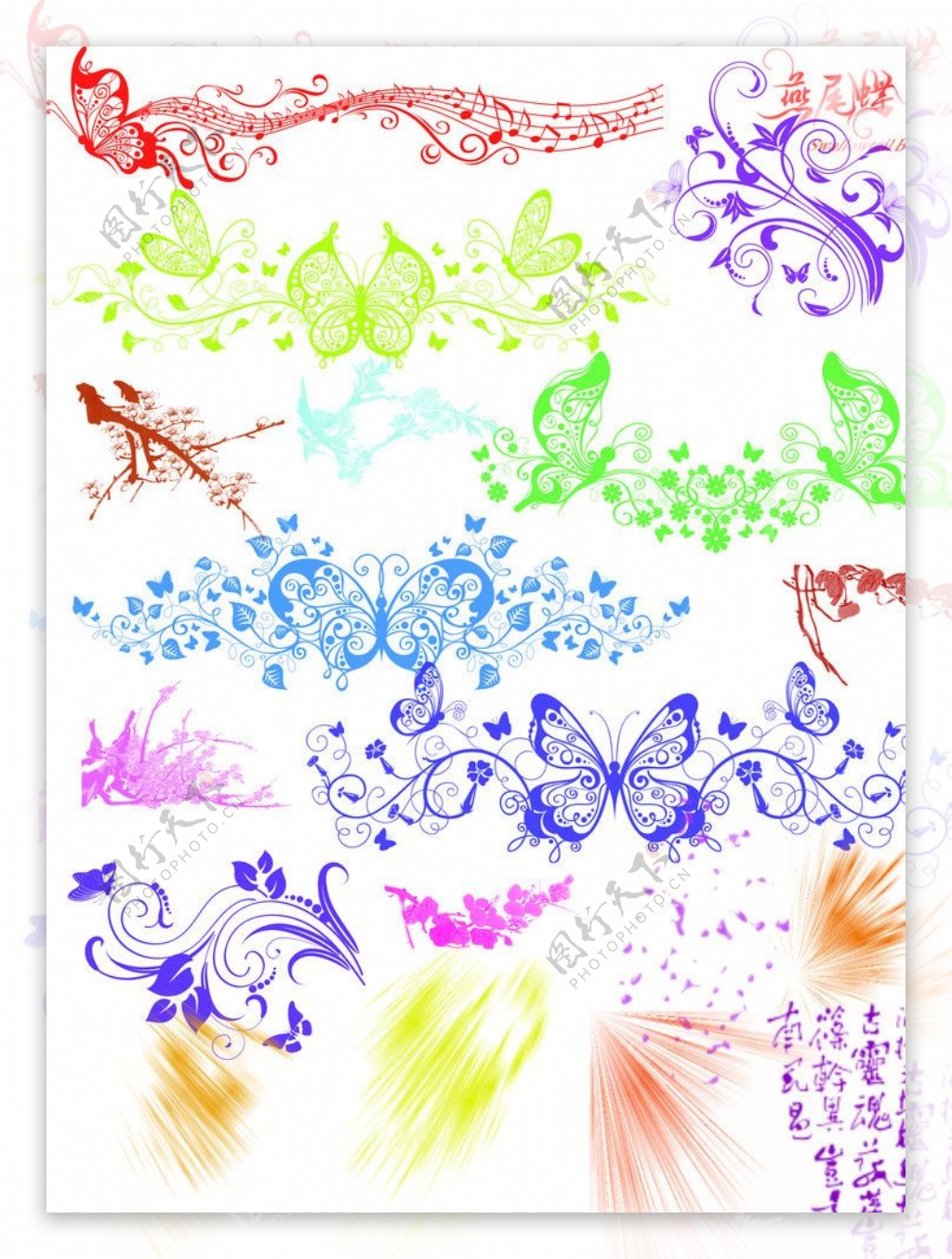 各种蝴蝶花纹图片