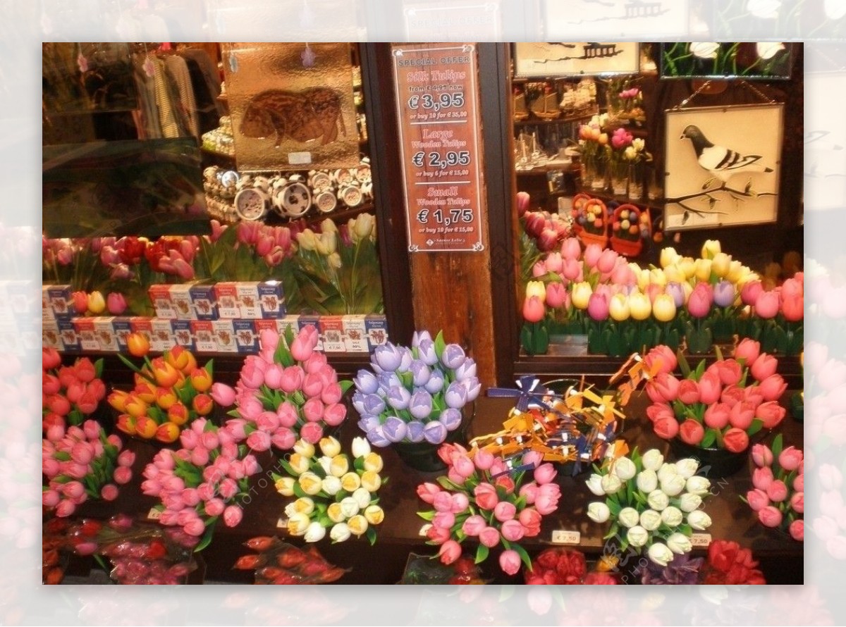 郁金香花店图片