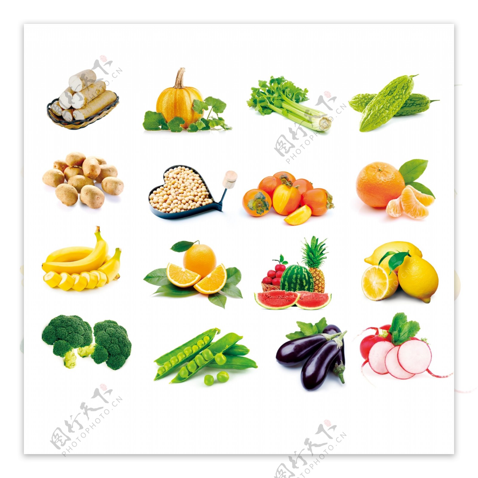 蔬菜全集合层图片