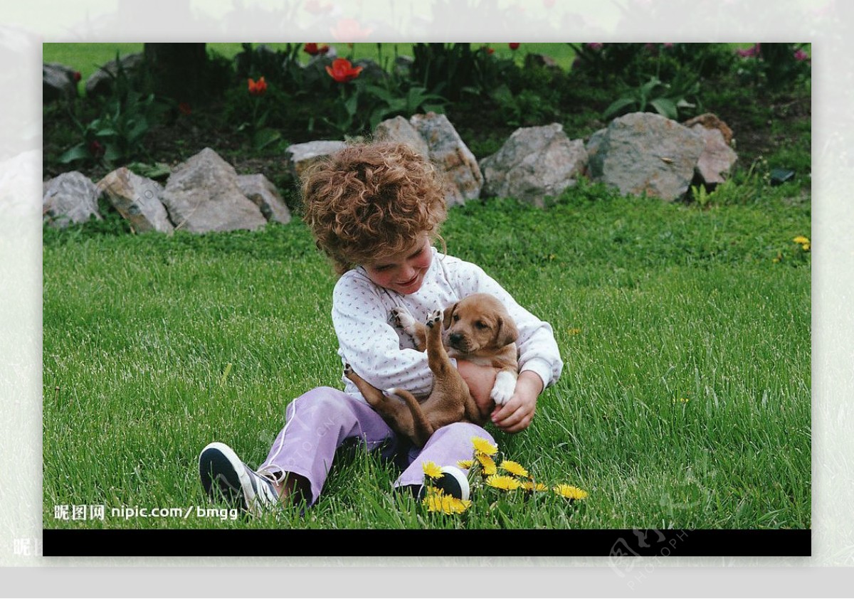 小女孩与狗图片