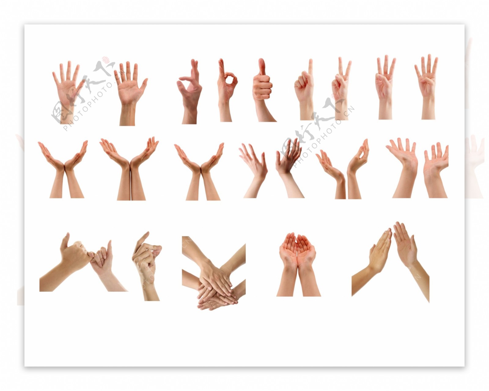 勾手指的手掌手部動作, 手腕, 手指頭, 工作素材圖案，PSD和PNG圖片免費下載