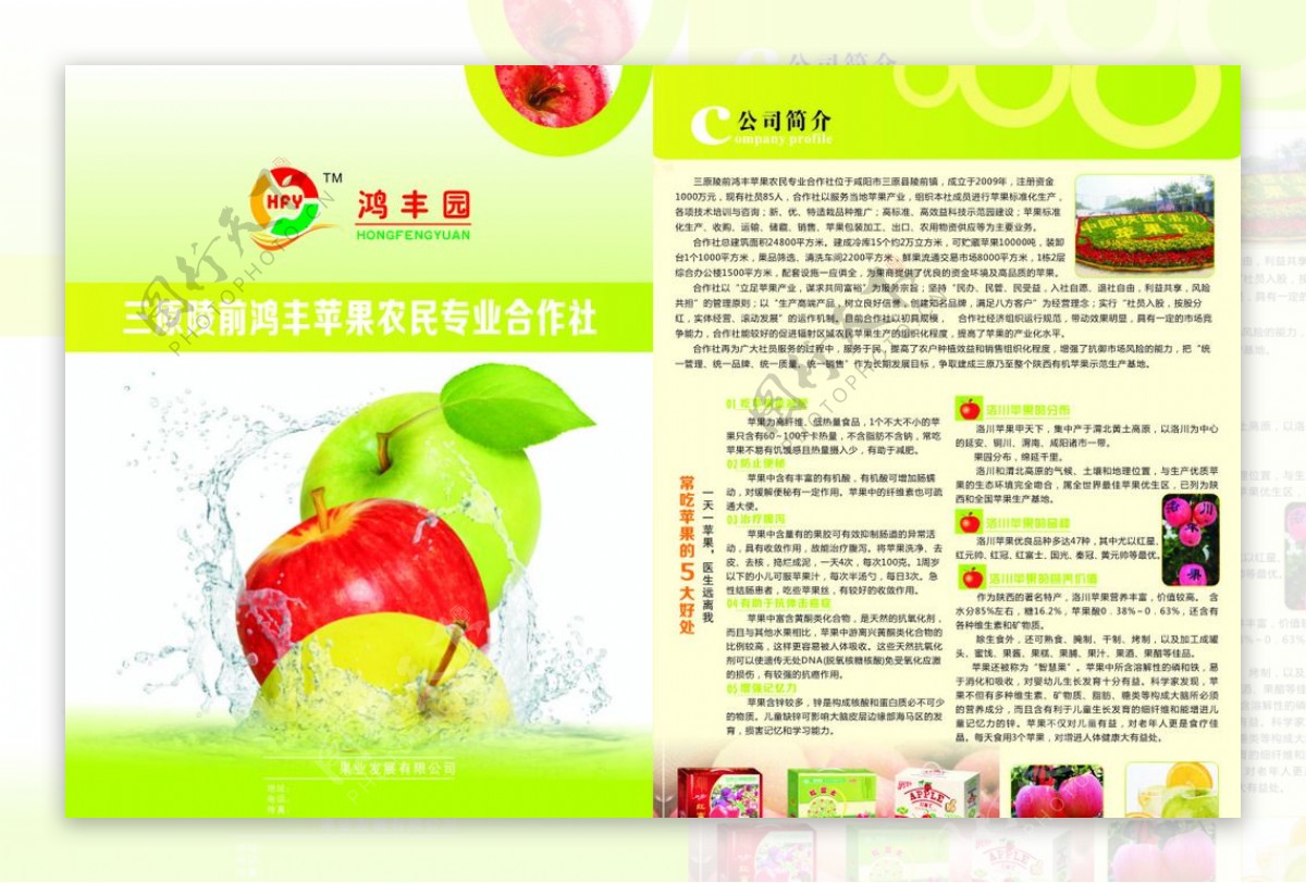 苹果单页水果宣传图片