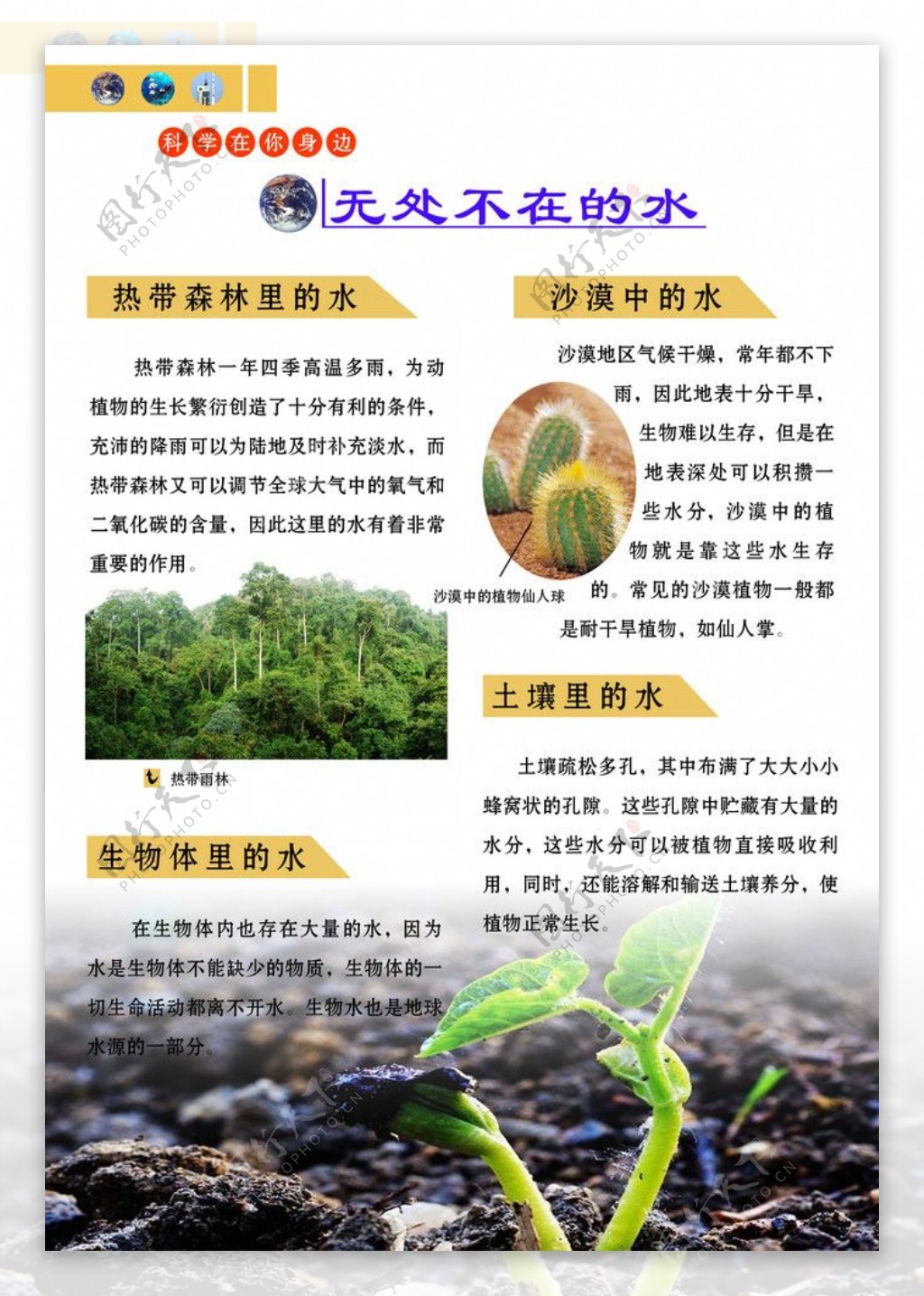 无处不在的水图片