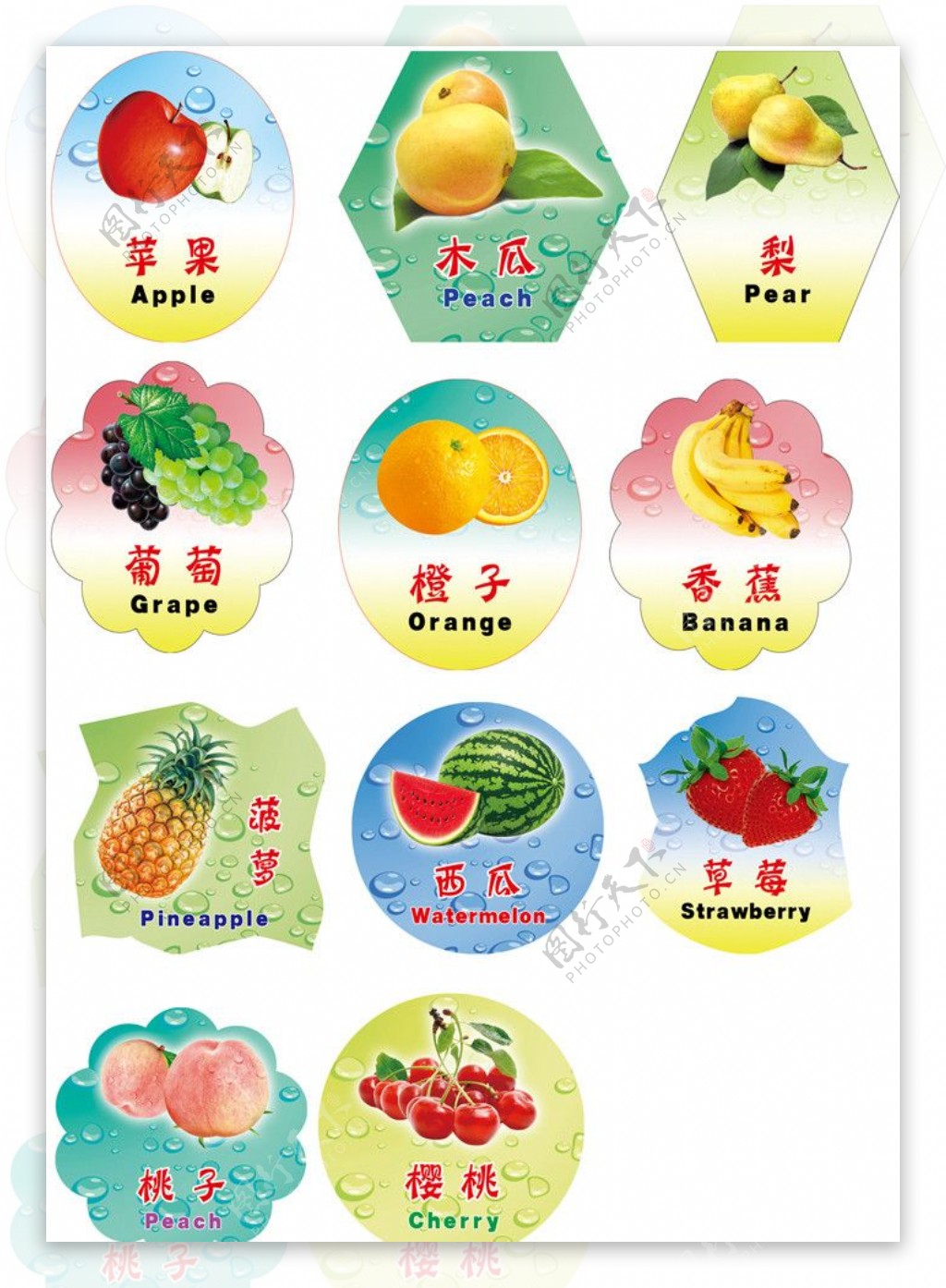 水果双语图片