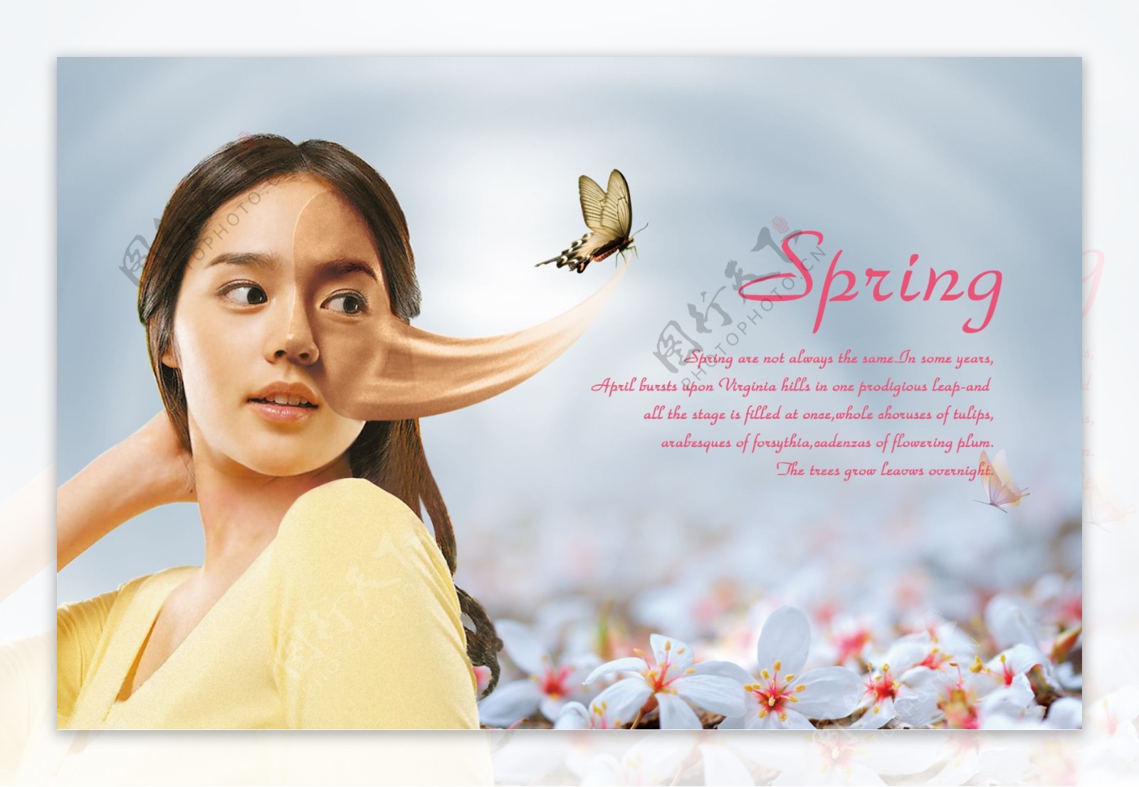春季换肤系列广告图片