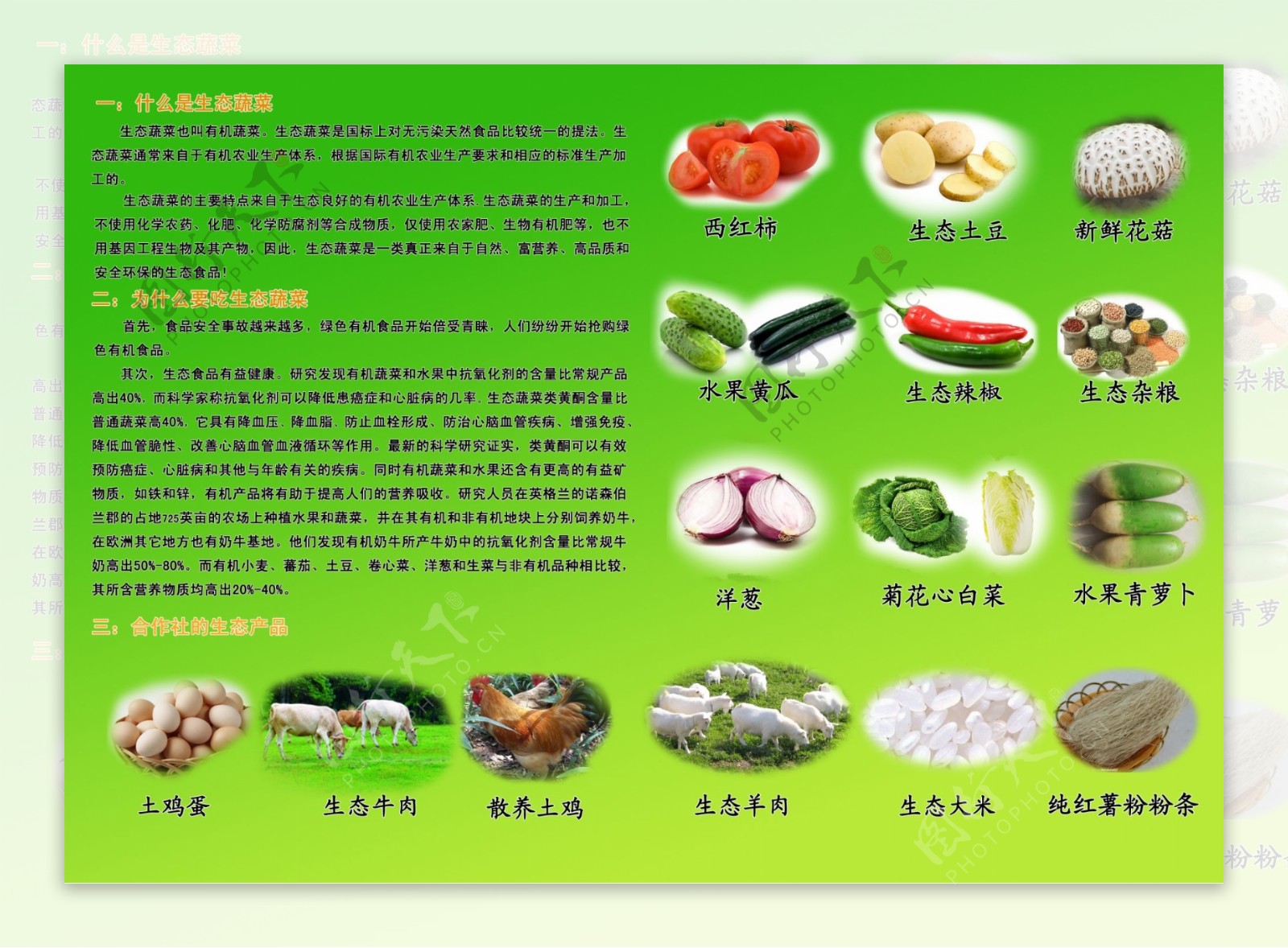 有机蔬菜类宣传彩页图片