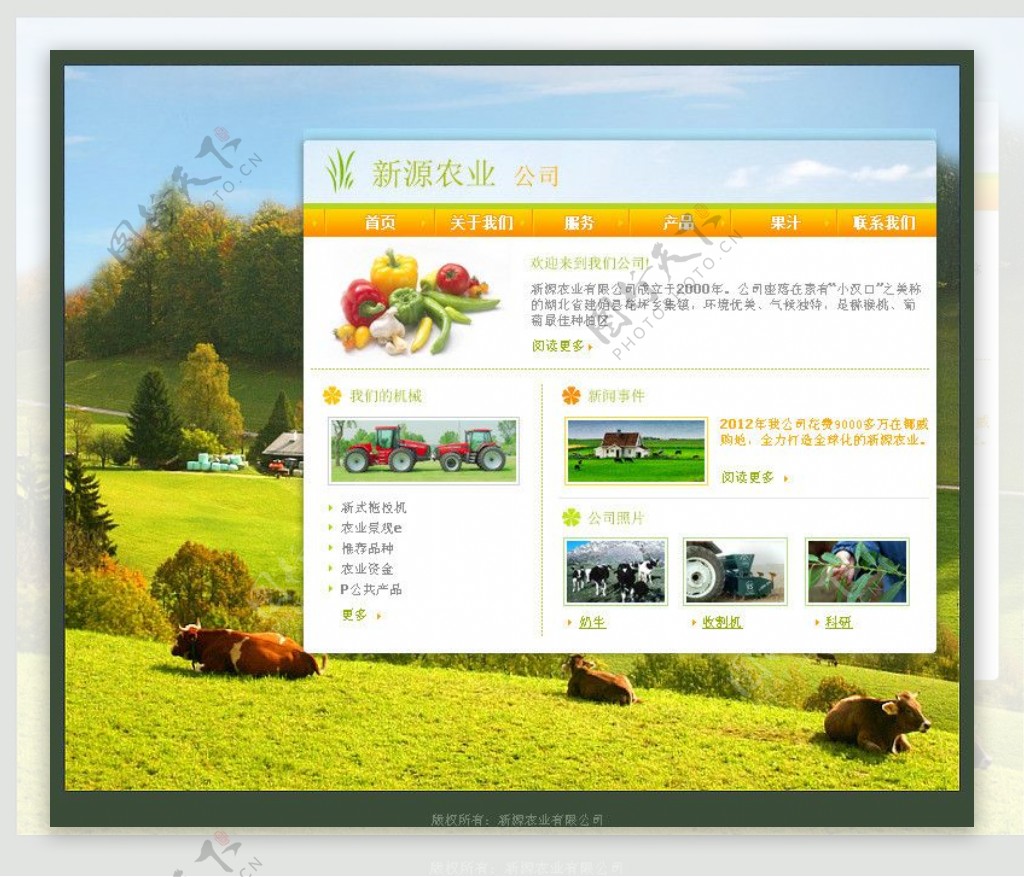 新源农业网页设计图片