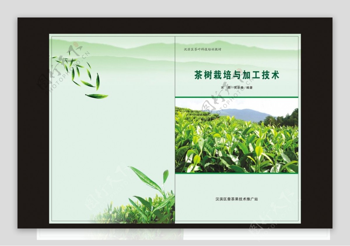 茶树栽培技术封面图片