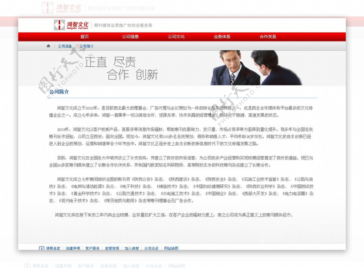 公司网站设计中文模板22图片