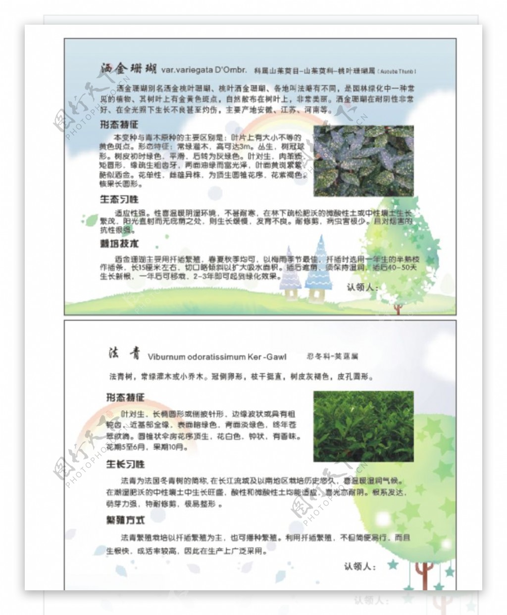 小学植树卡图片