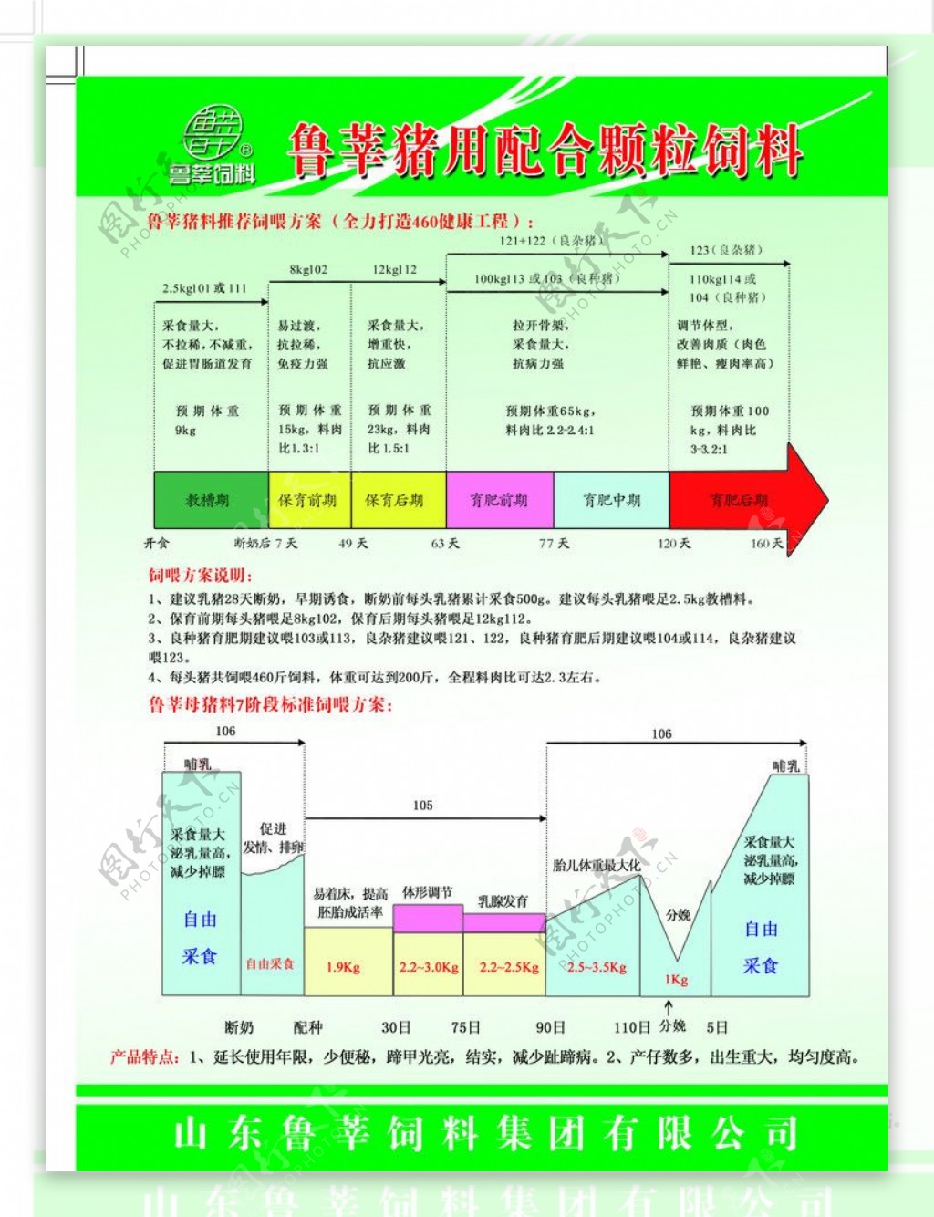 猪料宣传单图片