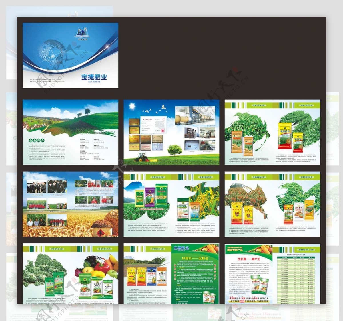 肥业画册图片