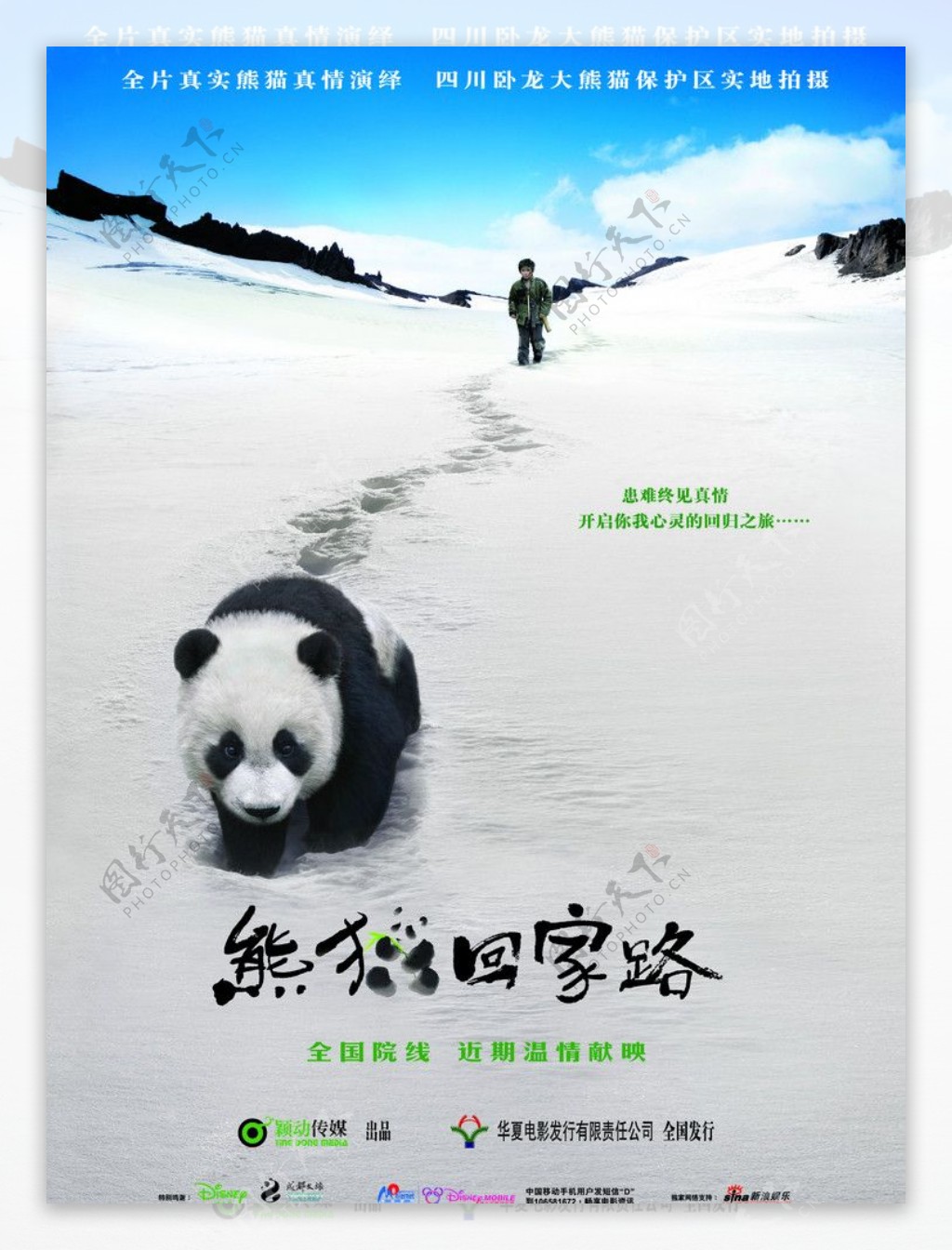 电影熊猫回家路海报分层图改psd图片