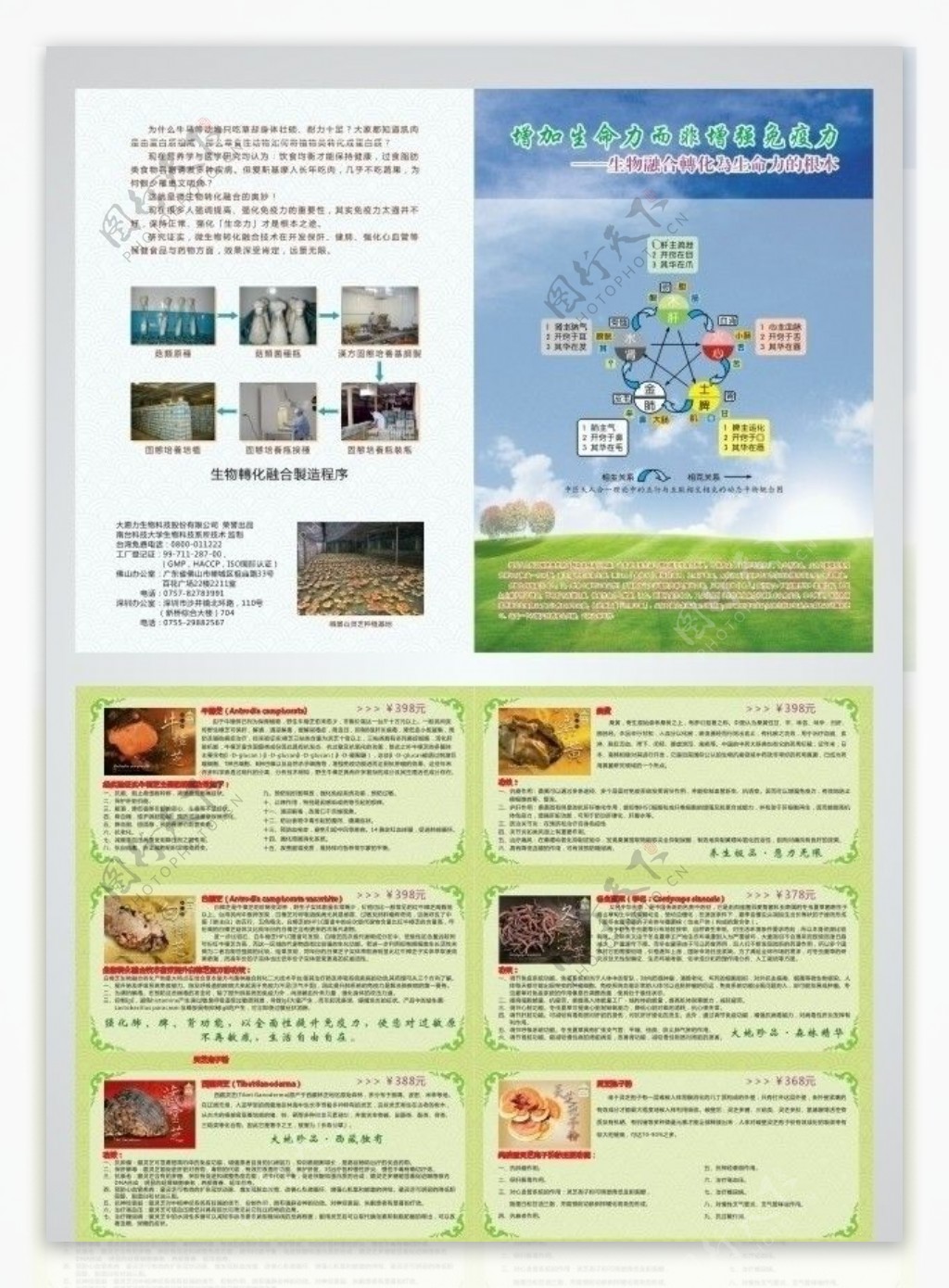 台湾孢子粉折页图片