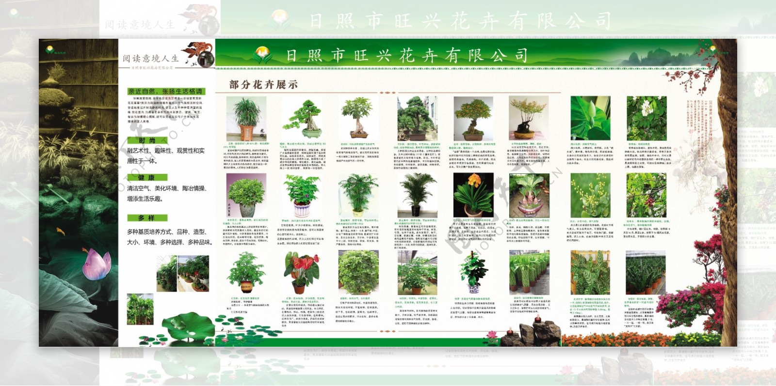 花卉公司宣传彩页图片