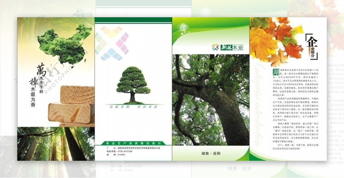 木业广告折页图片