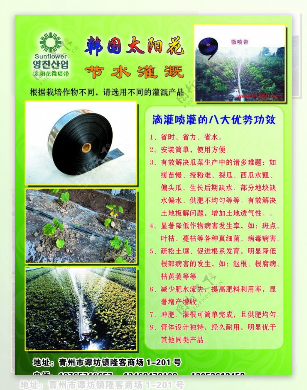 韩国太阳花节水灌溉图片