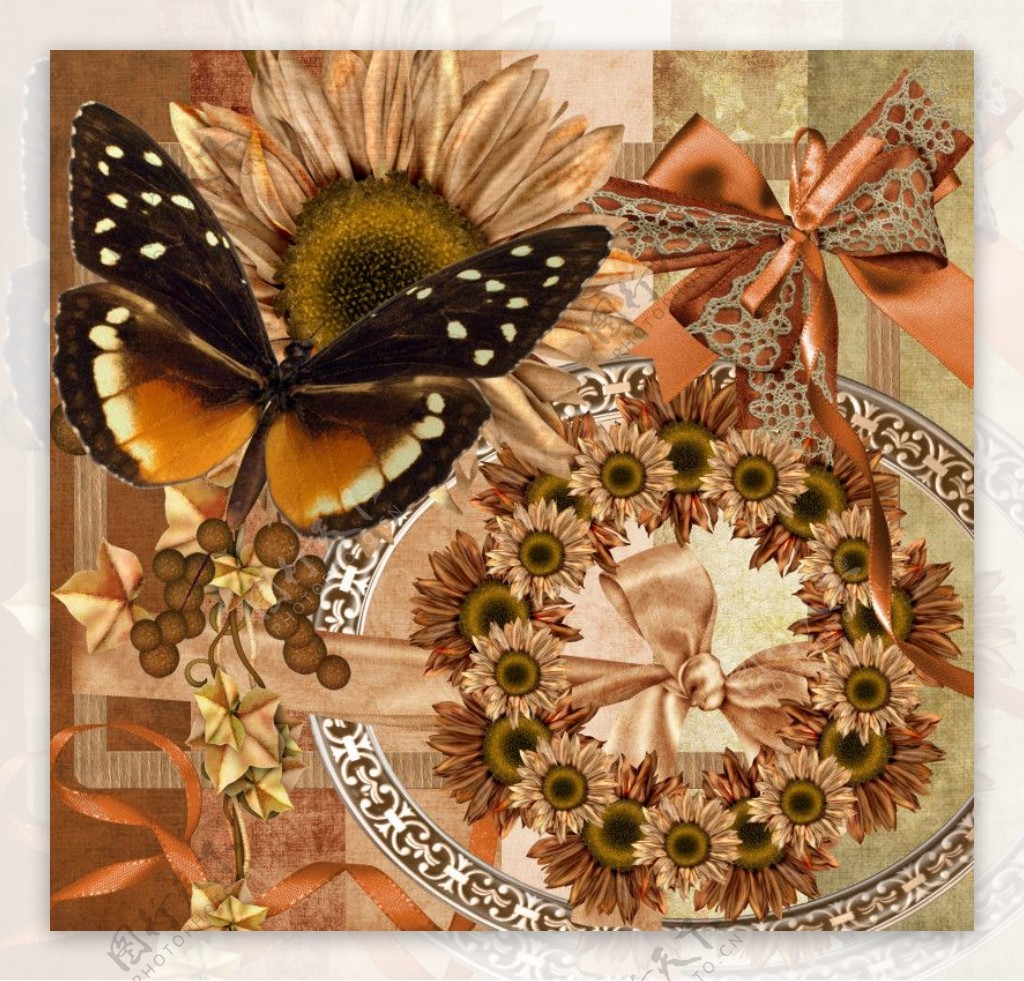 花朵缎带蝴蝶结金褐图片